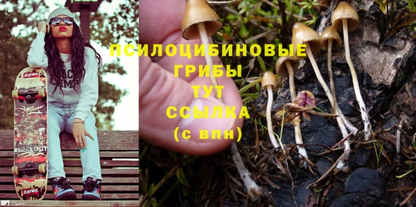 а пвп мука Аркадак